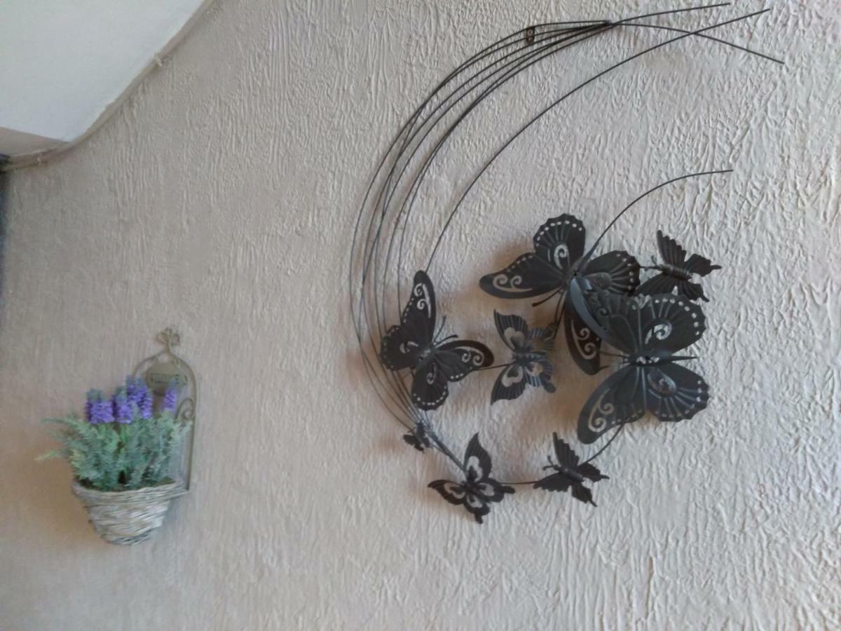 Les Proche Du Mont Ventoux Appartement